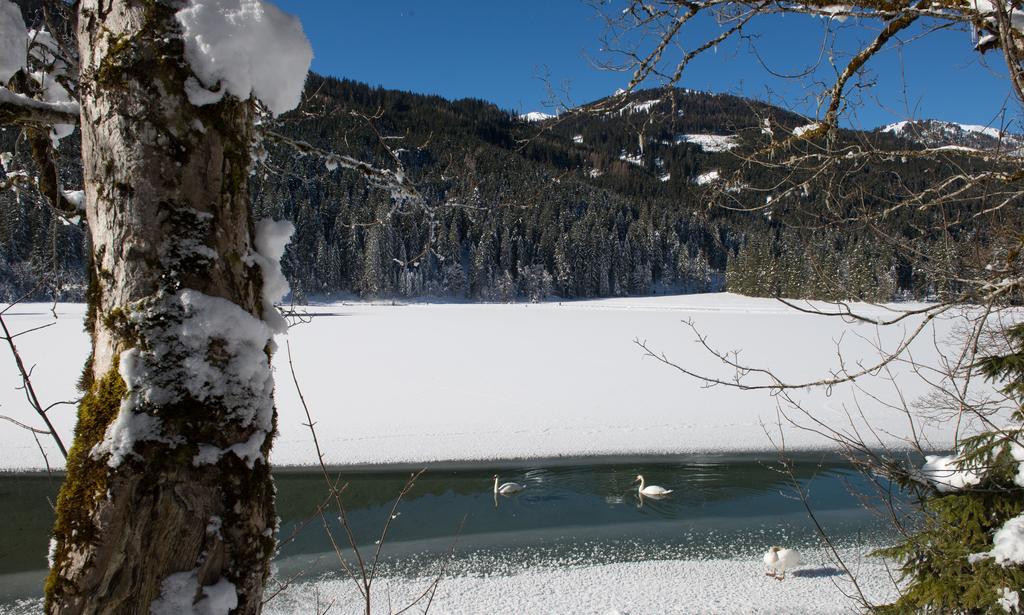 Apartmenthaus Mountainvista Kleinarl Kültér fotó